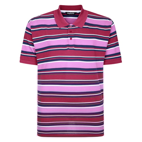 Bigdude Striped Polo Shirt Cassis